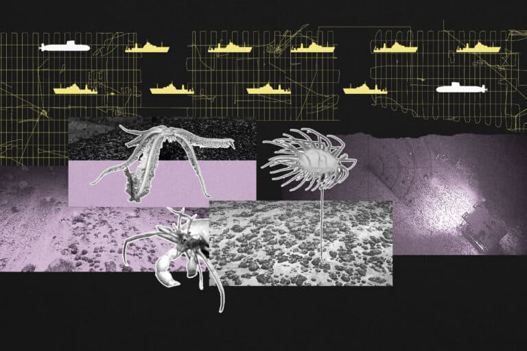 China’s deep-sea mining fleet may also track US submarines